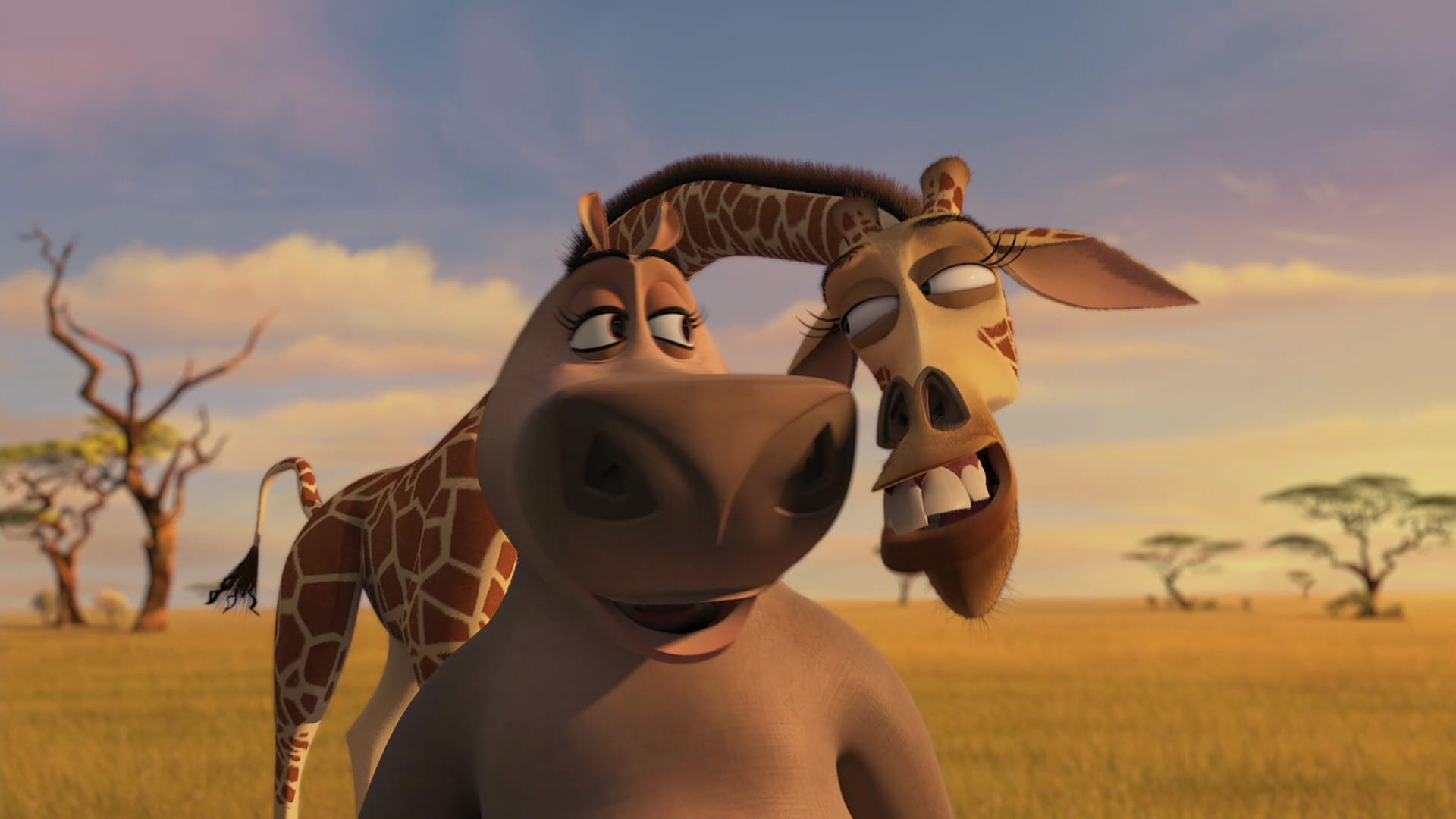 Madagascar Escape 2 Africa (2008) Gloria and Moto Moto's Date/Melman  Confesses 