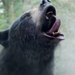 Cocaine Bear Trailer is an Internet Sensation