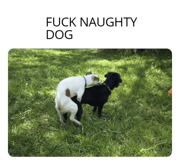  NAUGHTY dog