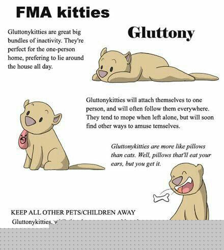 glottony kitty