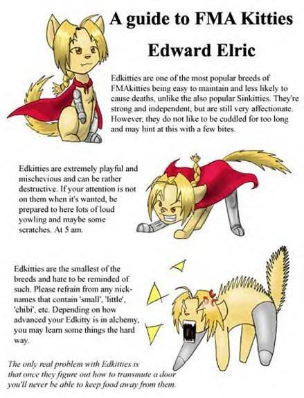 ed kitty