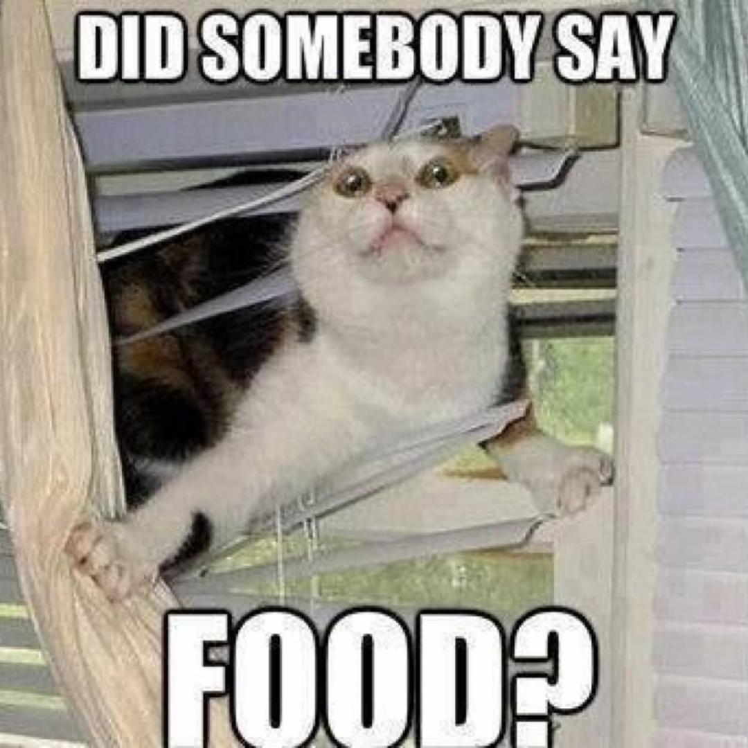 Did-Somebody-Say-Food-Funny-Meme-Picture