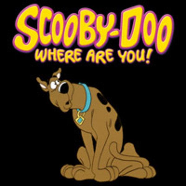 Scooby-Doo_Where_Are_You_image