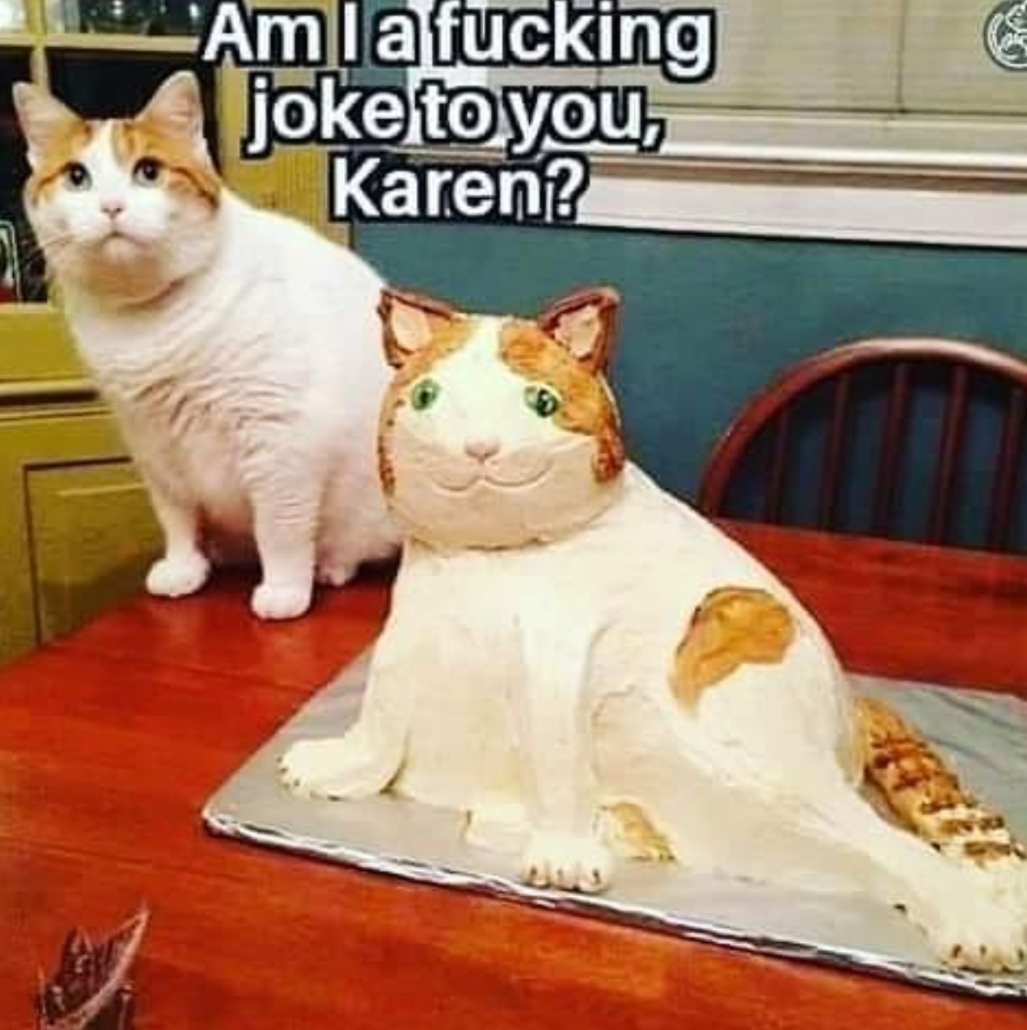 karen-the-cat-lady-memes-05