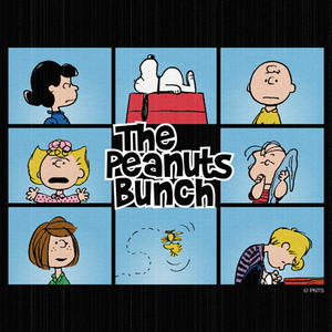The-Peanuts-Bunch-peanuts-37879270-300-300