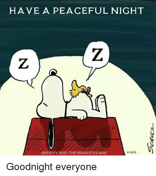 have-a-peaceful-night-snoopy-and-the-peanuts-gang-opnts-15732079