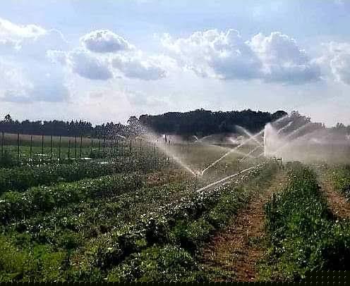 farm