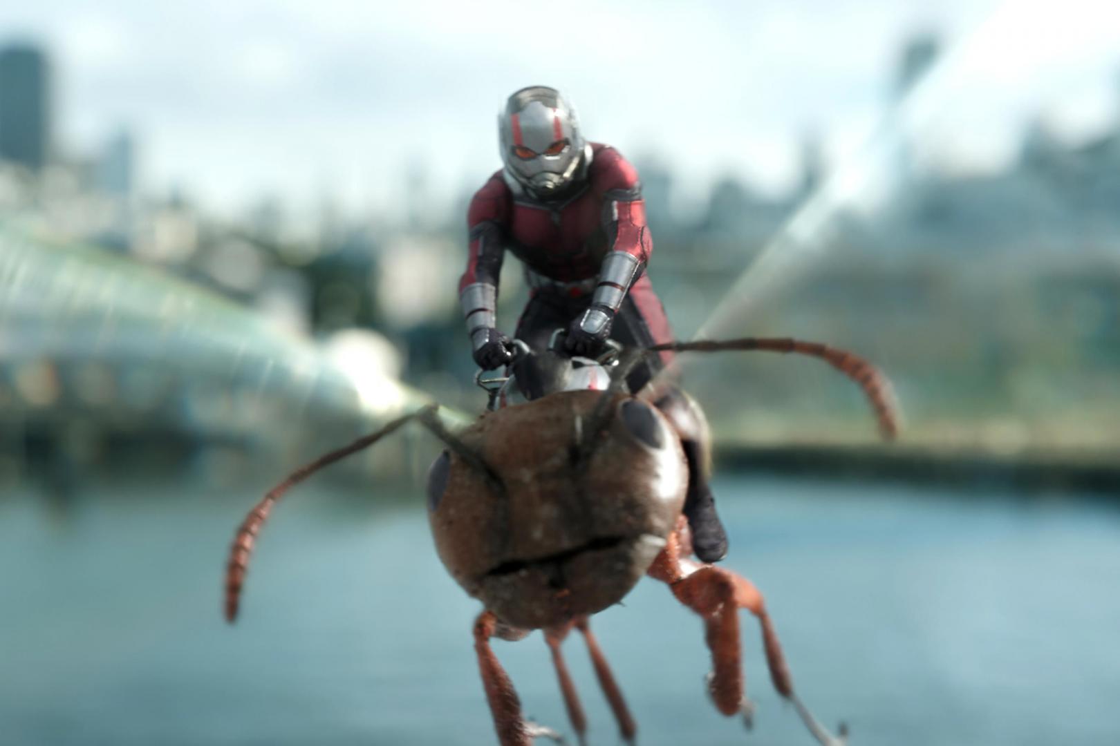 ant-man-and-the-wasp-new-image