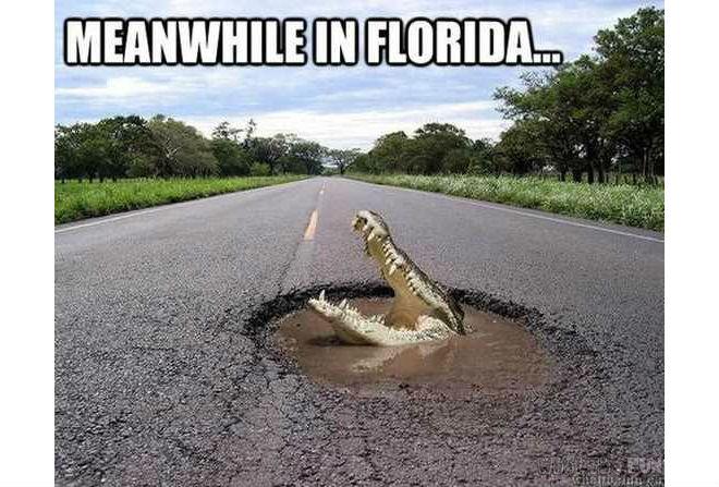 Meanwhile In Florida Memes 麗 - Geeks + Gamers