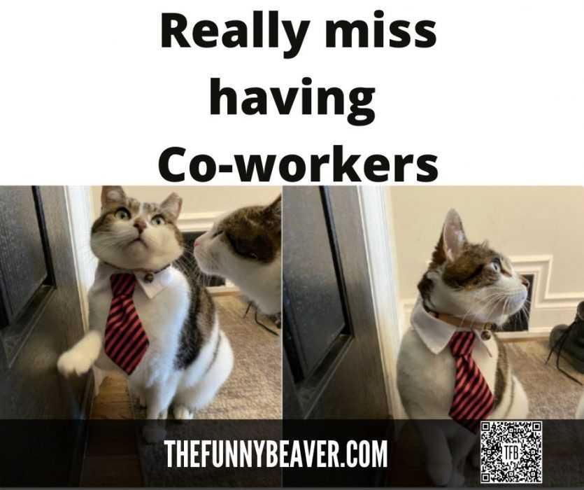 Co-workers-2