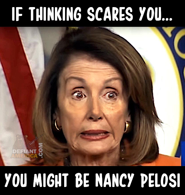 Nancy Pelosi U.S. Congresswoman Memes - Geeks + Gamers