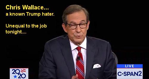 Chris-Wallace-unequal-to-the-job