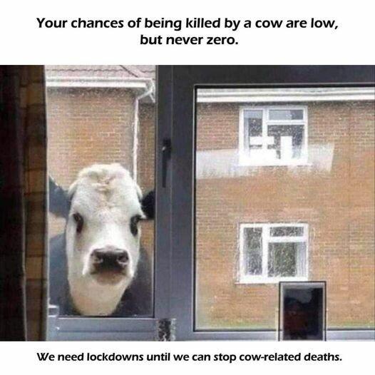 Cow_menace