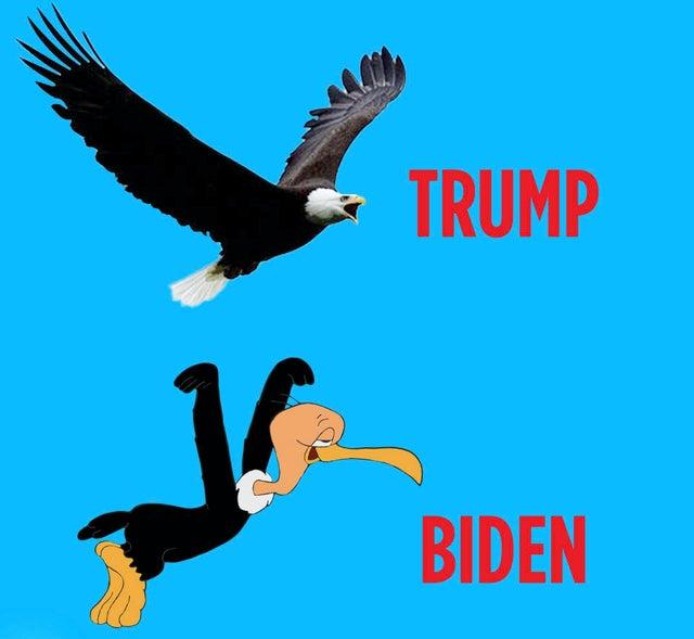 Donald-Trump-Joe-Biden-Bald-Eagle-Vulture