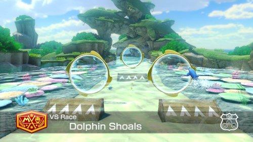 Dolphin+Shoals