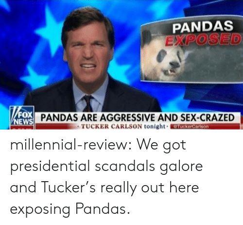pandas-exposed-fox-new-pandas-are-aggressive-and-sex-crazed-tucker-42842341