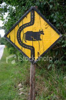 3aedd86306aeeb6986fe48fc255afff0--funny-cows-funny-road-signs
