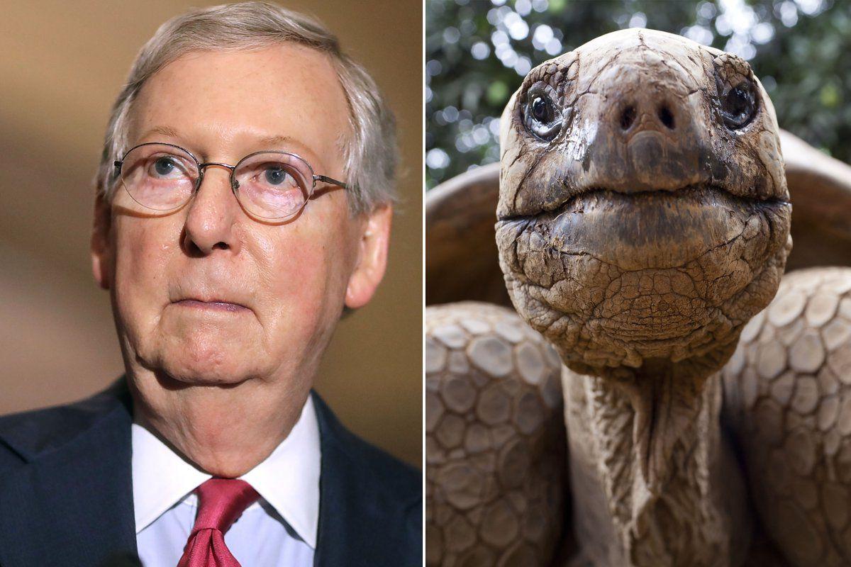 Mitch Mcconnell Kentucky Senator Memes Geeks Gamers 